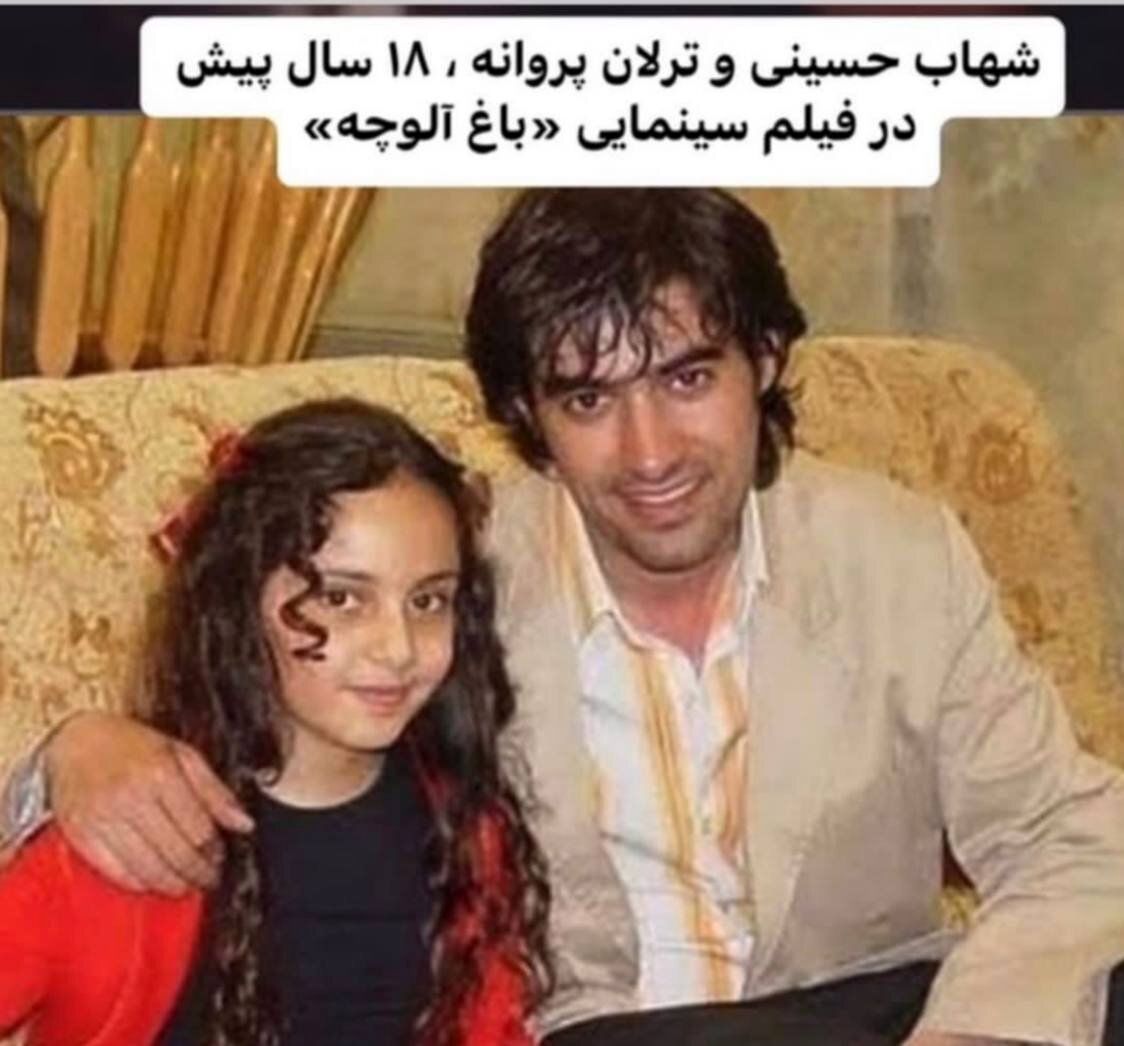 شهاب حسینی